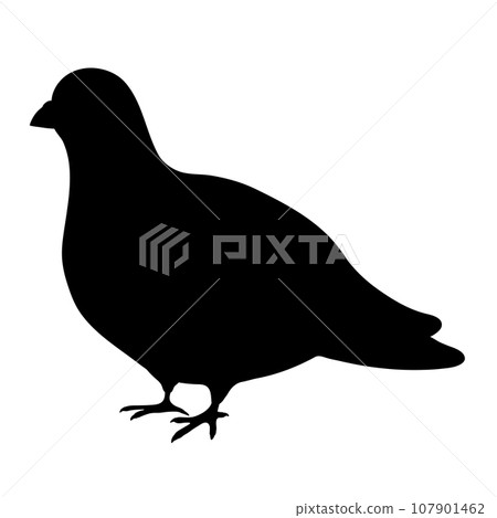簡單可愛的鴿子剪影 107901462
