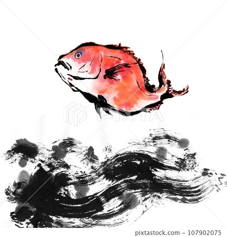 Illustration of red sea bream drawn with ink and watercolor Illustration of red sea bream drawn with ink and watercolor 107902075
