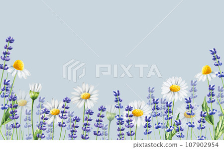 Watercolor banner with lavender and chamomiles illustration isolated on white background. Detail of beauty products and botany set, cosmetology and medicine. For designers, spa decoration, postcards, 107902954