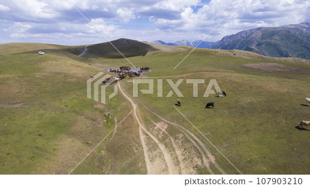 A herd of horses in mountains near a watering hole 107903210