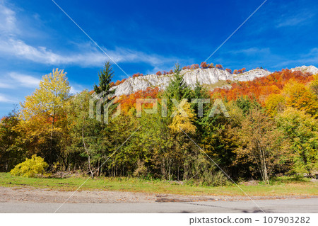 mountain pass of apuseni natural park, romania on a sunny autumn day. trees by the road in fall colors. pietrele negre cliffs in the distance beneath a blue sky with white clouds mountain pass of apuseni natural park, romania on a sunny autumn day. trees by the road in fall colors. pietrele negre cliffs in the distance beneath a blue sky with white clouds 107903282