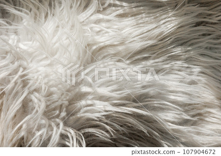 Close up artificial fluffy white-grey fabric fur, wool shaggy carpet with long pile. Soft loop pile surface. Hairy carpet detail. Faux fur texture, background. 107904672