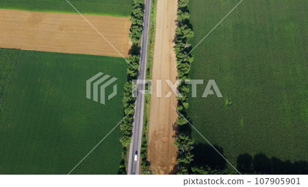 Automobile asphalt road with cars driving between agricultural fields with yellow ripened wheat and different green agricultural crops in summer. Aerial drone view. Agrarian crop panoramic landscape Automobile asphalt road with cars driving between agricultural fields with yellow ripened wheat and different green agricultural crops in summer. Aerial drone view. Agrarian crop panoramic landscape 107905901