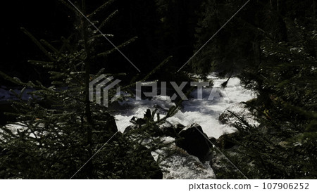 Stream running fast in summer green forest. Creative. Stones and logs and cold river. 107906252