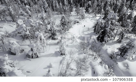 A tired man walks alone through a snowy forest. Clip. Aerial view of a man lost in winter snow covered forest. A tired man walks alone through a snowy forest. Clip. Aerial view of a man lost in winter snow covered forest. 107906388