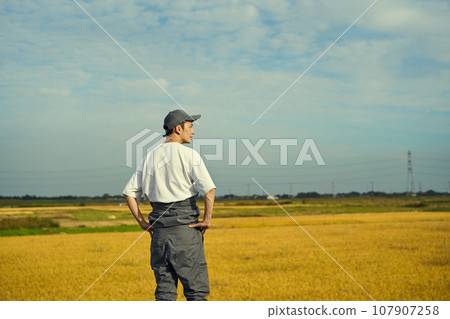 rice farmer man 107907258