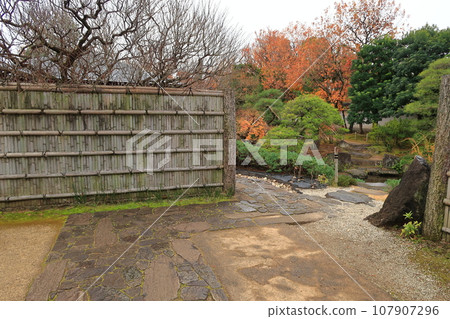 Kokoen Garden scenery 107907296