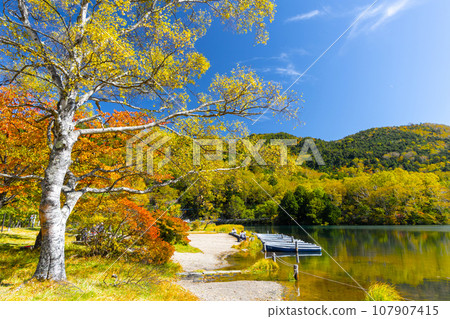 Autumn leaves and Lake Yunoko 107907415