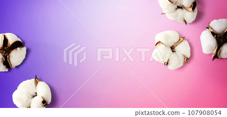 White cotton flowers 107908054