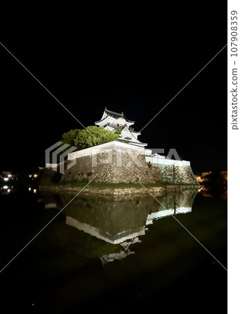 岸和田城亮燈 岸和田城亮燈 107908359