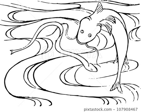 eel and catfish eel and catfish 107908467
