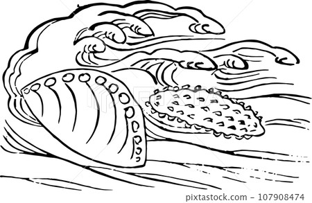 Abalone and sea slug Abalone and sea slug 107908474