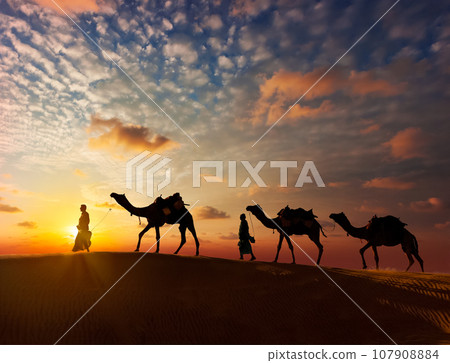 Rajasthan travel background - two indian cameleers (camel drivers) with camels silhouettes in dunes of Thar desert on sunset. Jaisalmer, Rajasthan, India 107908884