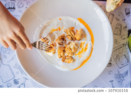 Dumplings stuffed with meat on a white plate. Fried dumplings with meat and sour cream. Top view 107910158