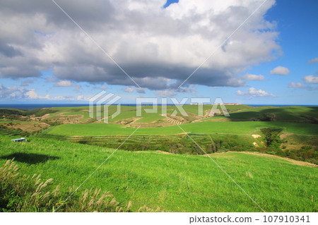 宗谷岬農場/宗谷岬（北海道稚內市） 107910341