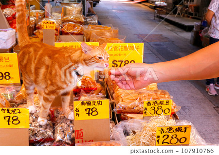 A cat stands guard over the swim bladder (fish glue) of high-quality fish ingredients sold at a high-end dry goods store in West Tokusuke, Hong Kong. A cat stands guard over the swim bladder (fish glue) of high-quality fish ingredients sold at a high-end dry goods store in West Tokusuke, Hong Kong. 107910766