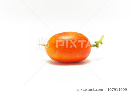 橙色漿果（秋季，十月） 107911009