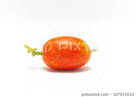 橙色漿果（秋季，十月） 107911010