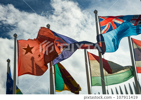 Group of inter national flags 107911419