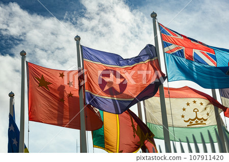 Group of inter national flags 107911420