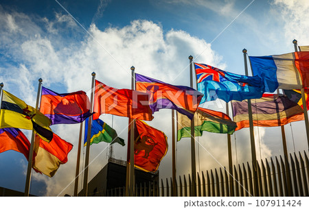 Group of inter national flags 107911424