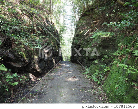 Chinbu Pass in Iidaka, Matsusaka City 107911569