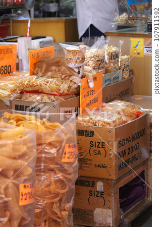A cat stands guard over the swim bladder (fish glue) of high-quality fish ingredients sold at a high-end dry goods store in West Tokusuke, Hong Kong. A cat stands guard over the swim bladder (fish glue) of high-quality fish ingredients sold at a high-end dry goods store in West Tokusuke, Hong Kong. 107911592