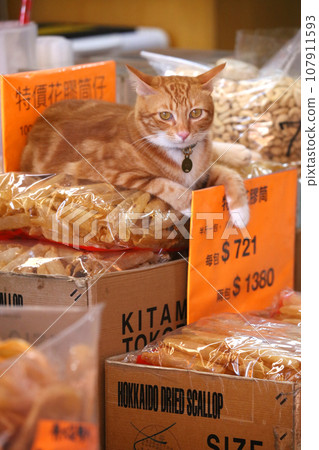 A cat stands guard over the swim bladder (fish glue) of high-quality fish ingredients sold at a high-end dry goods store in West Tokusuke, Hong Kong. A cat stands guard over the swim bladder (fish glue) of high-quality fish ingredients sold at a high-end dry goods store in West Tokusuke, Hong Kong. 107911593