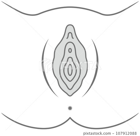 女性生殖器官插畫：陰道 107912088