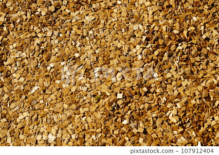 Sagamihara Asamizo Park Cross Country Course Wood Chip 107912404