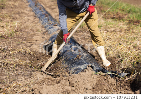young man plowing the field 107913231