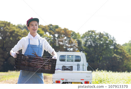 一名男子在地裡收割地瓜 107913370