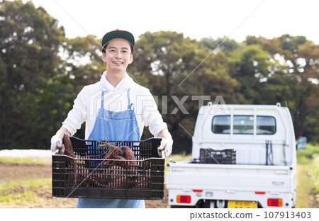 A man shipping vegetables from the field 107913403
