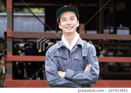 酪農飼養乳牛 107913691