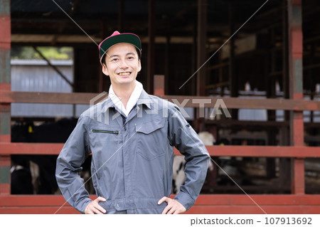 Dairy farmer raising cows 107913692