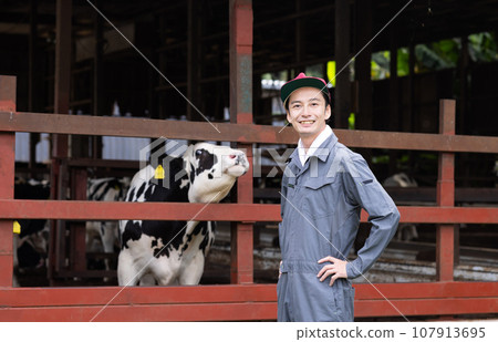 Dairy farmer raising cows 107913695