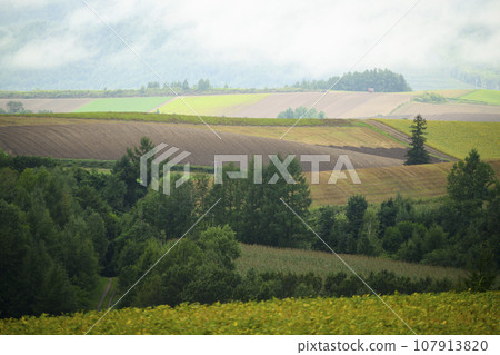 北海道美瑛「信榮之丘展望公園」的景色 107913820