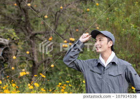 A man in work clothes managing garden trees A man in work clothes managing garden trees 107914336