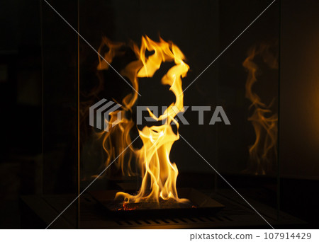 Modern bio fireplot fireplace on ethanol gas. Smart ecological alternative technologies. Contemporary biofuel on ethanol close-up. Energy saving innovation. Interior inside a house 107914429