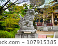 Komainu，神社裡的守護犬 107915385