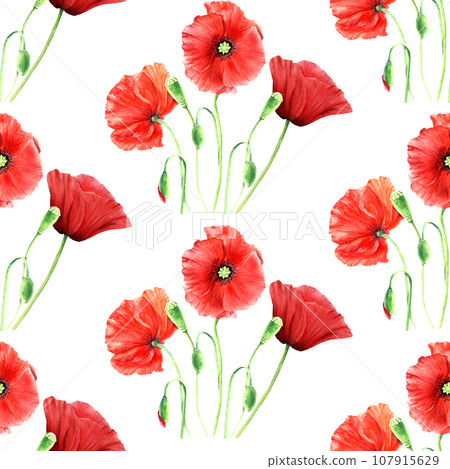 Seamlesss pattern with red wild poppies. Watercolor illustration isolated on white for decor, textile, fabric, wrapping. Seamlesss pattern with red wild poppies. Watercolor illustration isolated on white for decor, textile, fabric, wrapping. 107915629