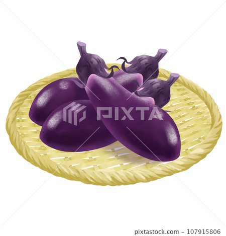 Illustration of eggplant on a colander Illustration of eggplant on a colander 107915806