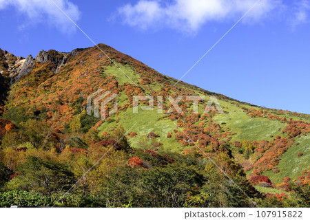 Nasudake autumn leaves Nasudake autumn leaves 107915822