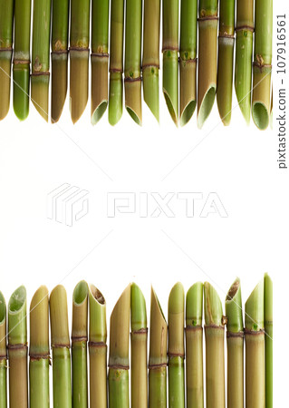 acute cane frame 107916561