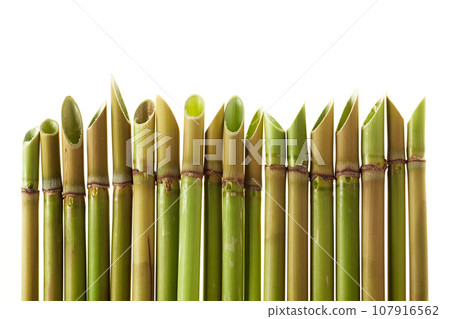 acute cane background 107916562