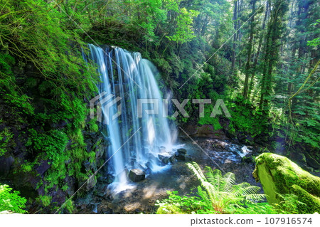 Karasawa Falls（Sugadaira Kogen） 107916574