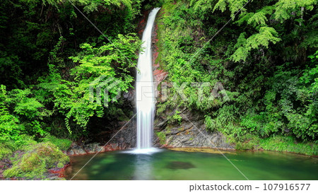 櫻花盛開的秩父華嚴瀑布 櫻花盛開的秩父華嚴瀑布 107916577