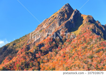 [Ehime Prefecture] Autumn leaves of Mt. Ishizuchi under clear skies 107916670