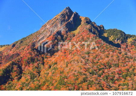 [愛媛縣] 晴空下的石槌山紅葉 107916672