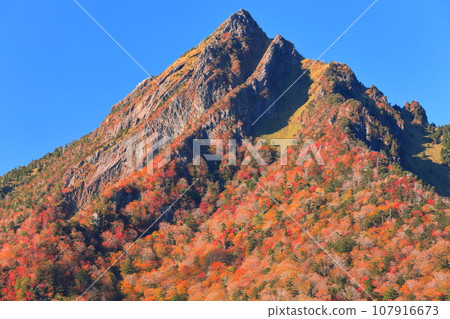 [愛媛縣] 晴空下的石槌山紅葉 107916673